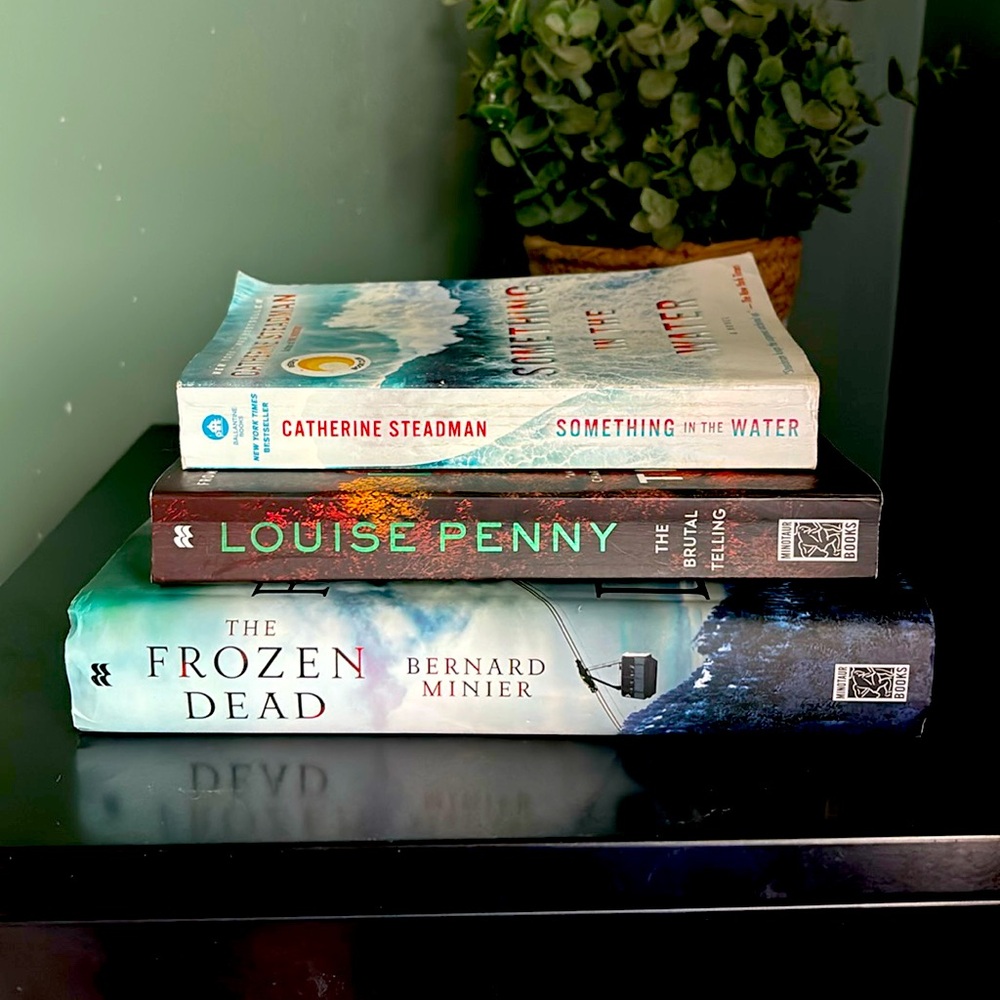 📚 Book Bundle 📚